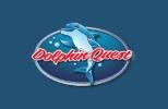 Dolphin Quest